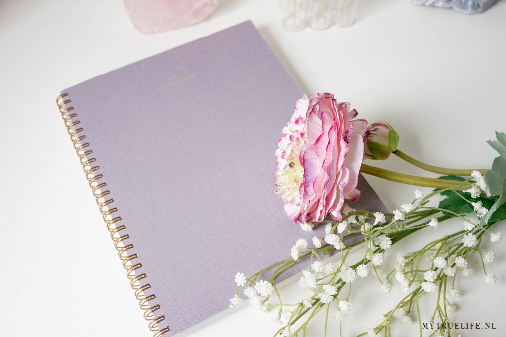 Appointed year task planner lavender gray